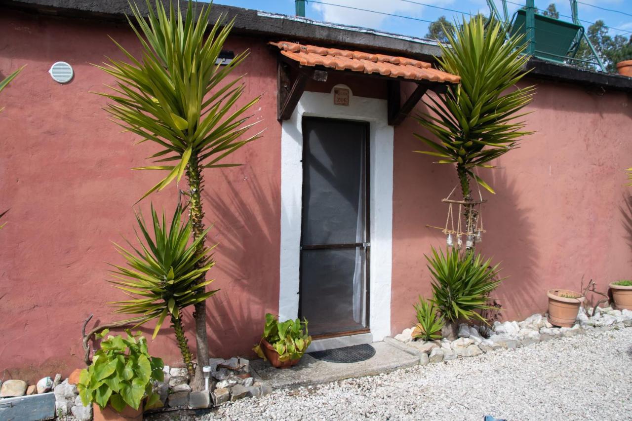 Yuccasa - Small Glamping Camping & Studio'S Pombal  Dış mekan fotoğraf
